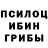 Галлюциногенные грибы Psilocybine cubensis Ugiloy Artikbayeva