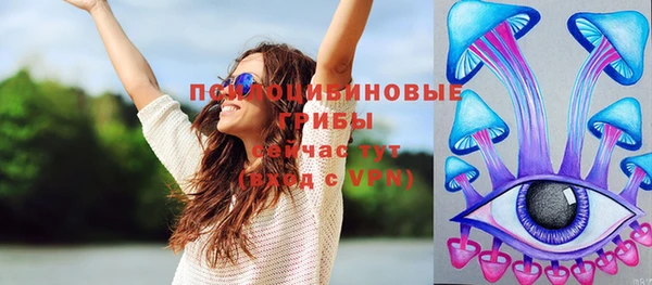 меф Белокуриха